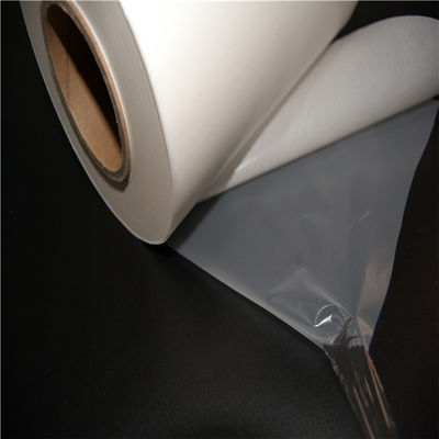 Hot Melt Glue Film